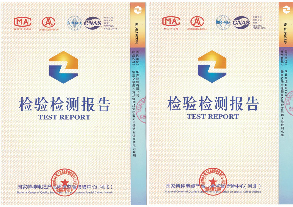 檢驗報告